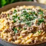 Close-up of one pot creamy orzo and beef with a clean background