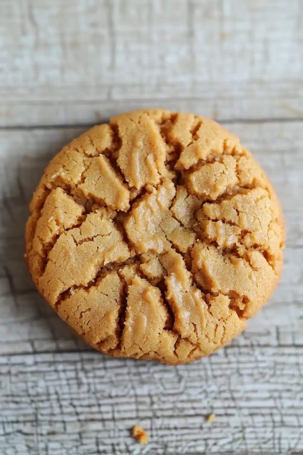 Peanut butter cookie no butter - the image is a close-up of a round cookie on a white textured surface. the cookie appears to be freshly baked and has a golden-brown color. it has a crumbly texture on the surface, with small pieces of peanut butter scattered around it. the background is blurred, making the cookie the focal point of the image.